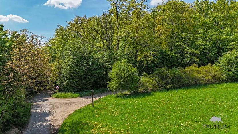 Prodej lesa, Petrov, 6490 m2