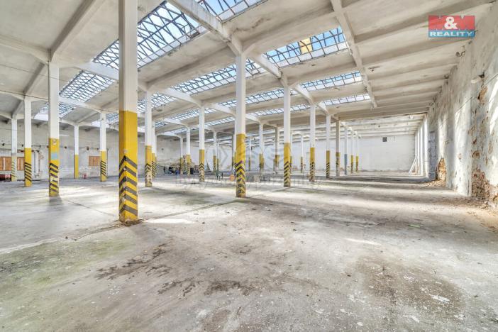 Prodej výrobních prostor, Červená Voda, 1500 m2