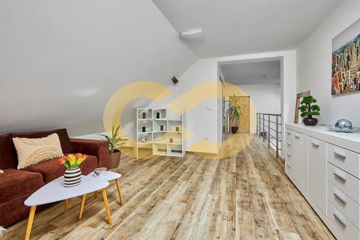 Prodej rodinného domu, Bušanovice, 300 m2