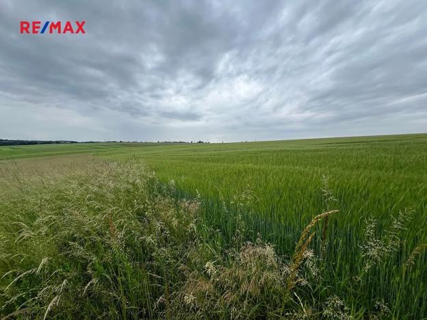 Prodej pole, Krupá, 18159 m2