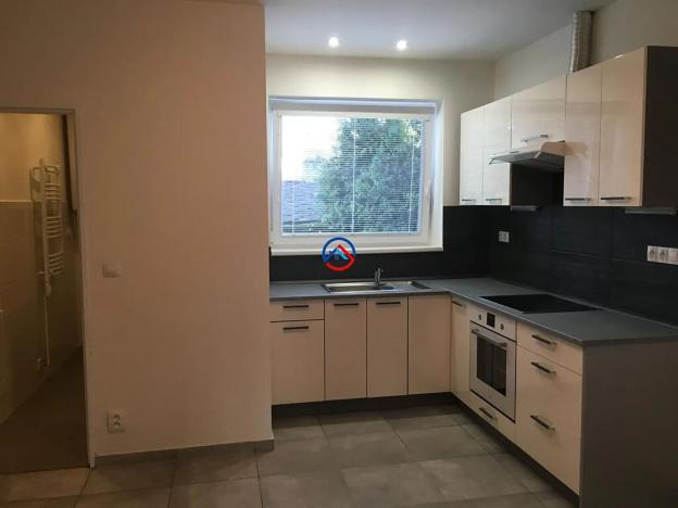 Pronájem bytu 1+1, Olomouc, Purkyňova, 40 m2
