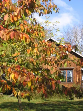 Pronájem chaty, Brandýsek, 25 m2