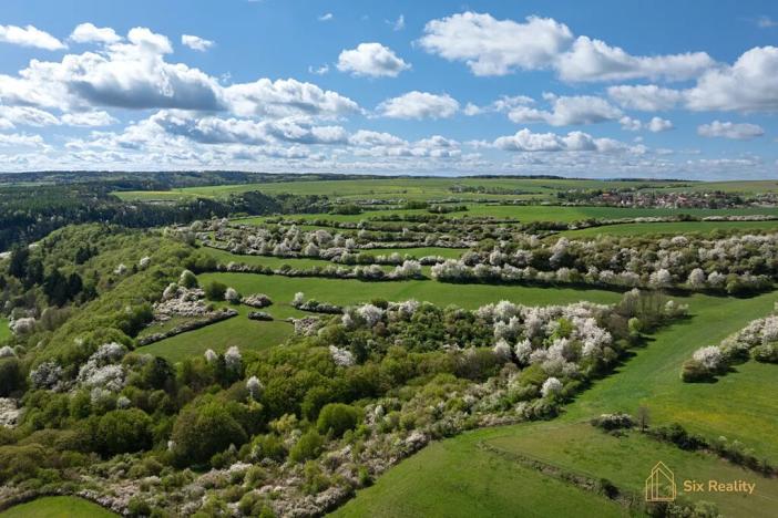 Prodej rodinného domu, Pavlíkov, 436 m2