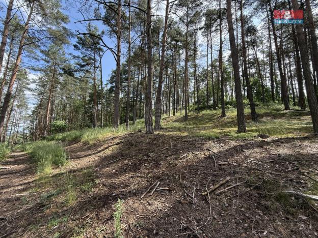 Prodej lesa, Chotilsko - Prostřední Lhota, 3372 m2