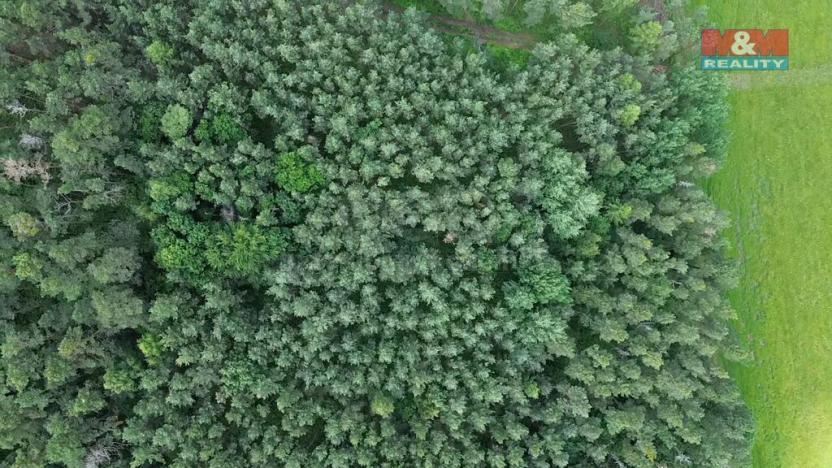 Prodej lesa, Chotilsko - Prostřední Lhota, 3372 m2