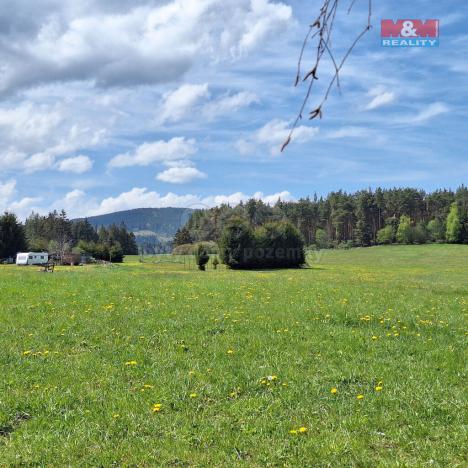 Prodej louky, Zdíkov - Masákova Lhota, 5959 m2