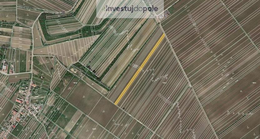 Prodej pozemku, Velké Bílovice, 3322 m2