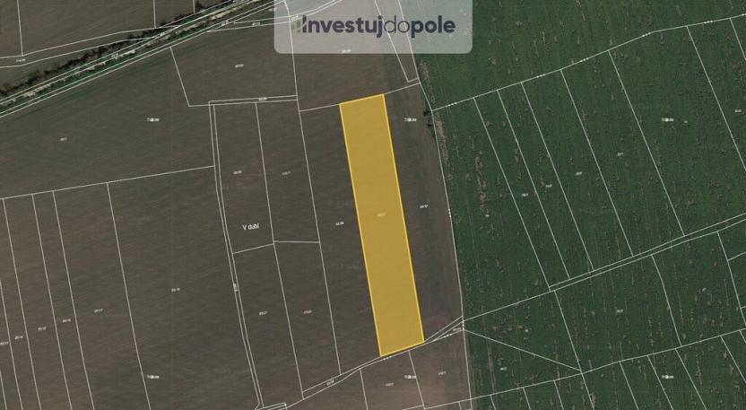 Prodej pole, Nučice, 6542 m2