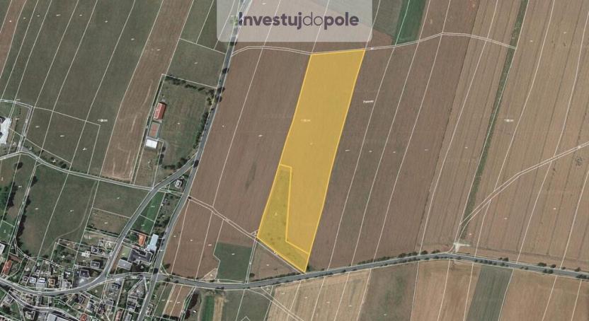 Prodej pole, Melč, 2420 m2