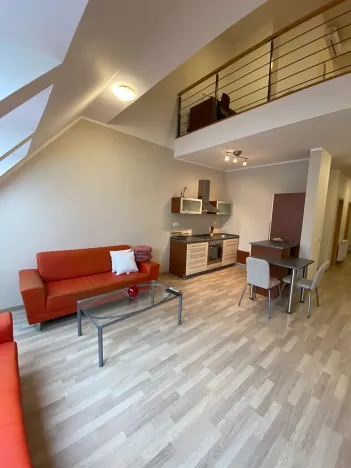 Pronájem bytu 2+1, Brno, Náplavka, 45 m2