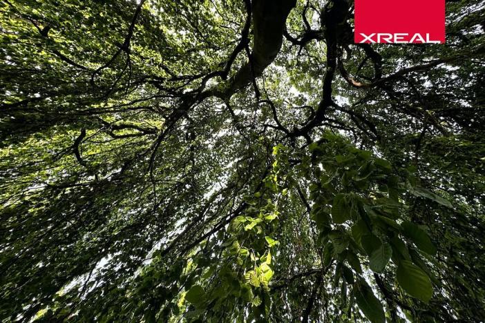 Prodej rodinného domu, Kamenice, Lomená, 157 m2