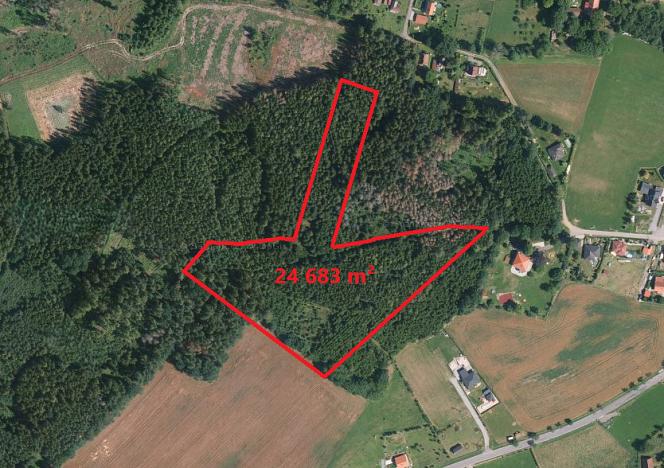 Prodej lesa, Heřmaničky, 24683 m2