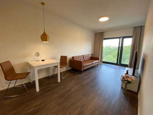 Pronájem bytu 2+kk, Brno - Veveří, Lidická, 55 m2