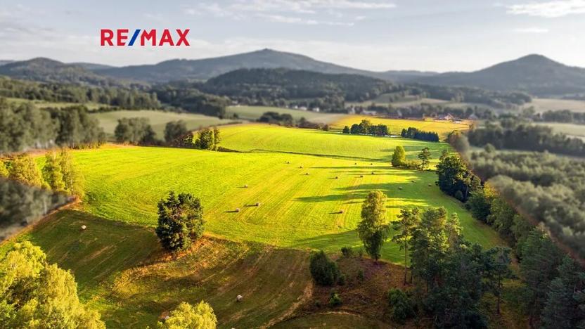 Prodej zemědělské usedlosti, Jablonné v Podještědí, 1000 m2