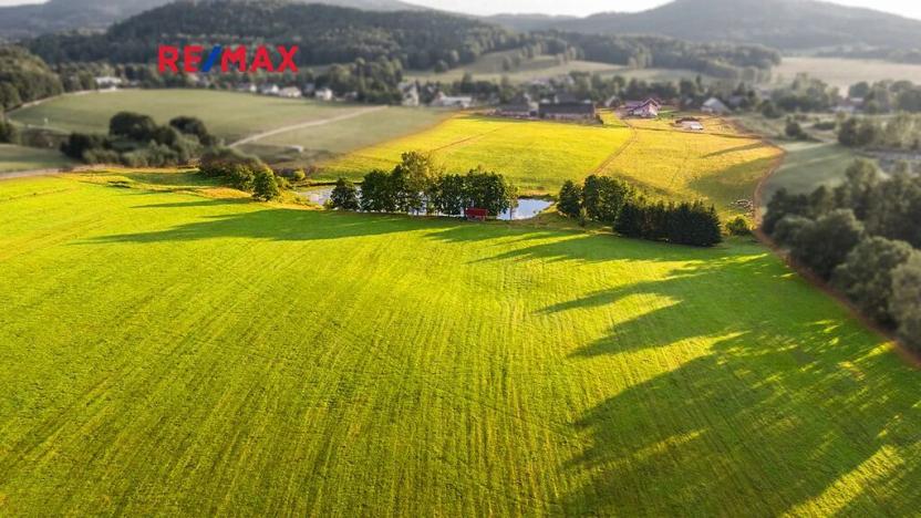 Prodej zemědělské usedlosti, Jablonné v Podještědí, 1000 m2