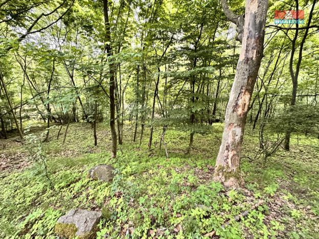 Prodej zahrady, Horní Jiřetín, 333 m2