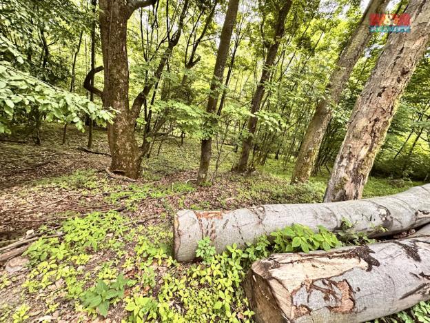 Prodej zahrady, Horní Jiřetín, 333 m2