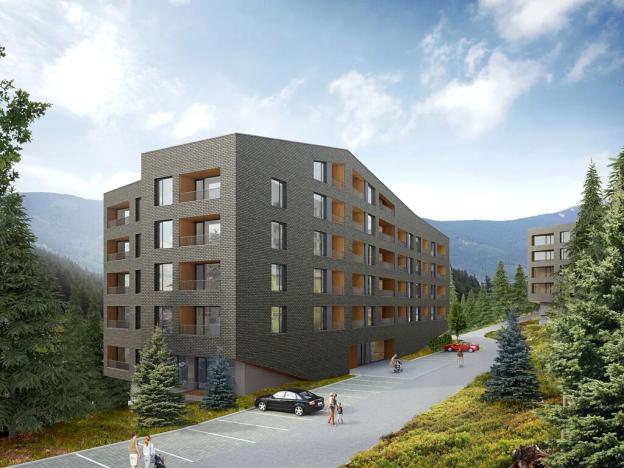 Prodej bytu 1+kk, Dolní Morava, 58 m2