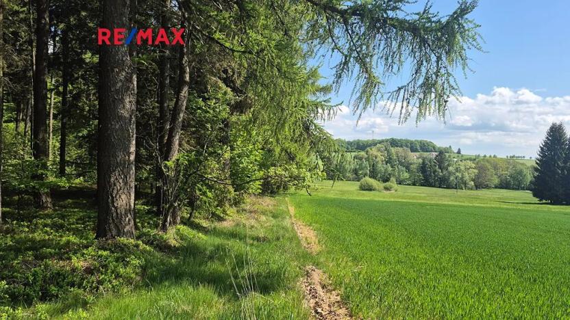 Prodej pozemku pro bydlení, Borová, 5776 m2