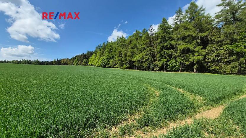 Prodej pozemku pro bydlení, Borová, 5776 m2