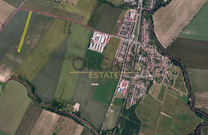 Prodej podílu pole, Holasice, 3024 m2