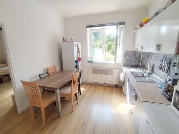 Pronájem bytu 1+1, Ostrava - Heřmanice, Parcelní, 45 m2