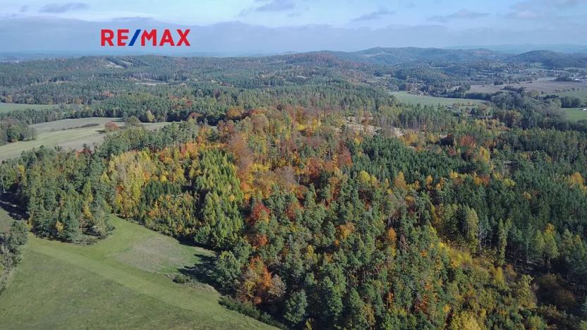 Prodej pozemku pro bydlení, Pečice, 1510 m2