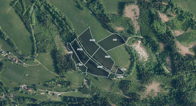 Prodej podílu pole, Vysoké nad Jizerou, 21482 m2