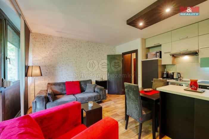 Prodej bytu 2+kk, Železná Ruda - Alžbětín, 55 m2