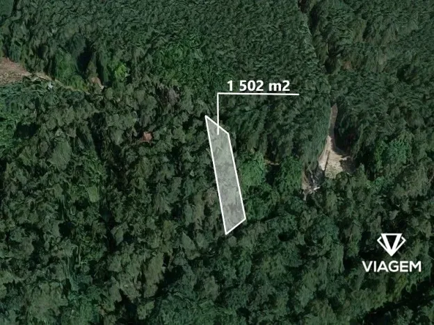 Prodej podílu lesa, Lužnice, 751 m2
