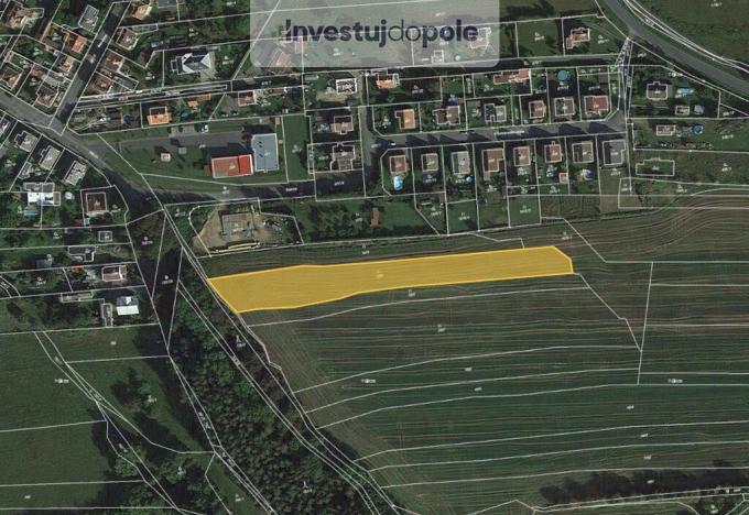Prodej louky, Staňkov - Staňkov II, U Čermenského lesíka, 748 m2