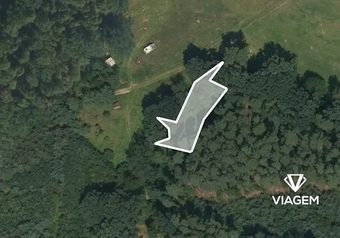 Prodej lesa, Úštěk, 1007 m2