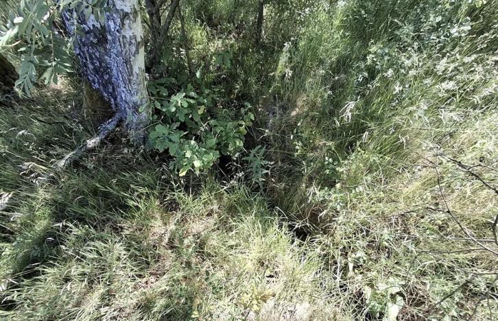 Prodej pozemku, Pomezí nad Ohří, 39941 m2