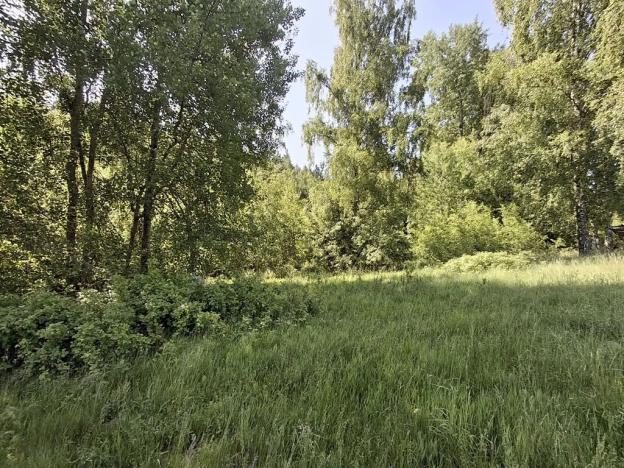 Prodej pozemku, Pomezí nad Ohří, 39941 m2