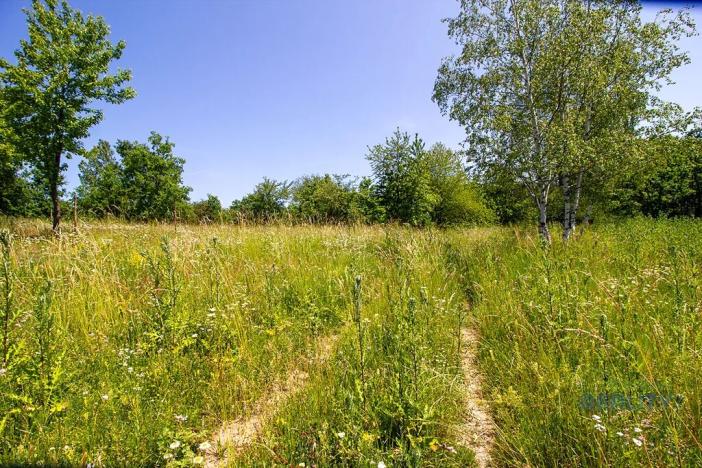 Prodej komerčního pozemku, Praha - Dolní Chabry, 10599 m2