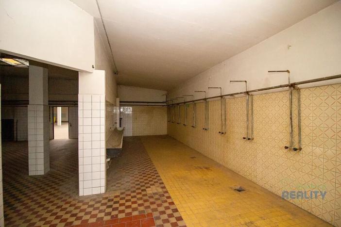 Pronájem výrobních prostor, Brandýs nad Labem-Stará Boleslav, 826 m2