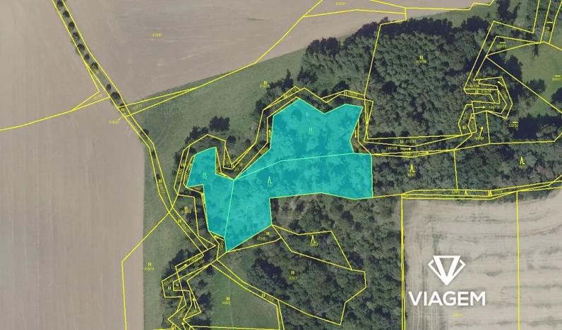 Prodej lesa, Praha, 5020 m2