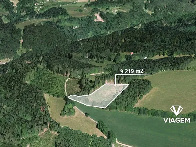 Prodej podílu lesa, Jestřabí v Krkonoších, 790 m2