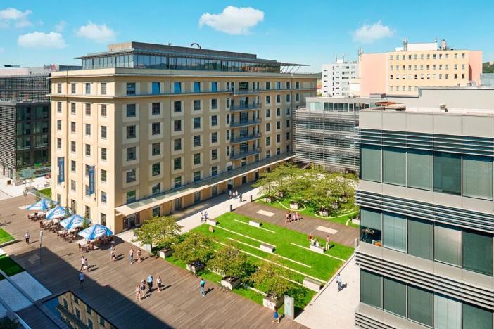 Pronájem kanceláře, Praha - Holešovice, Jankovcova, 369 m2