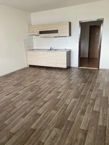 Pronájem bytu 1+kk, Olomouc, Voskovcova, 39 m2