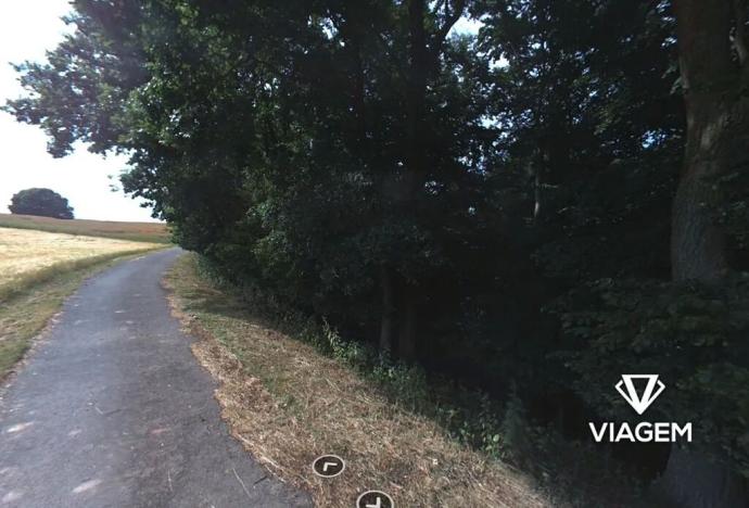 Prodej podílu lesa, Kokořín, 7736 m2