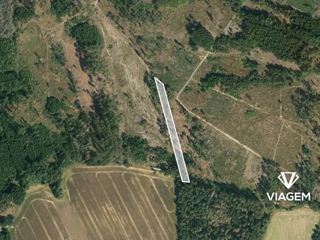 Prodej lesa, Studený, 2196 m2