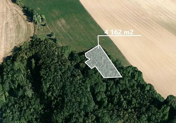 Prodej podílu lesa, Bartošovice, 644 m2