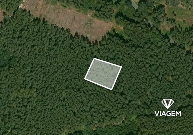 Prodej lesa, Štichov, 1133 m2