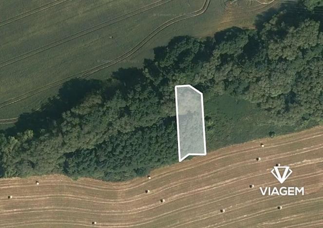 Prodej pole, Sousedovice, 531 m2