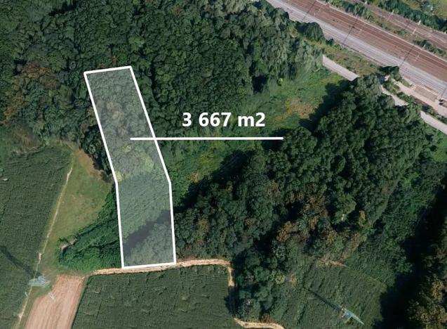 Prodej lesa, Dětmarovice, 3667 m2