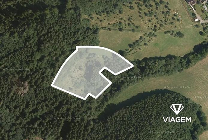 Prodej lesa, Vsetín, Rokytnice, 10655 m2