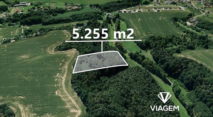 Prodej lesa, Branžež, 5255 m2
