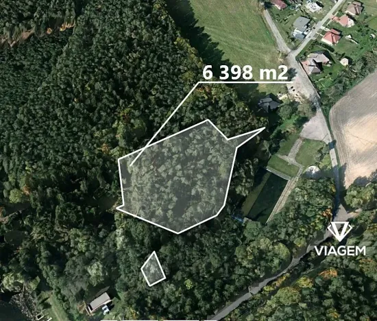 Prodej lesa, Veliny, 6398 m2
