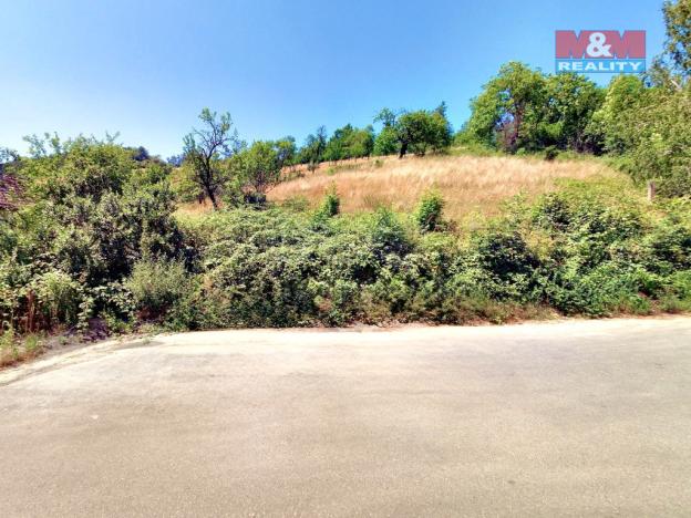 Prodej pozemku pro bydlení, Podhradí, 3377 m2